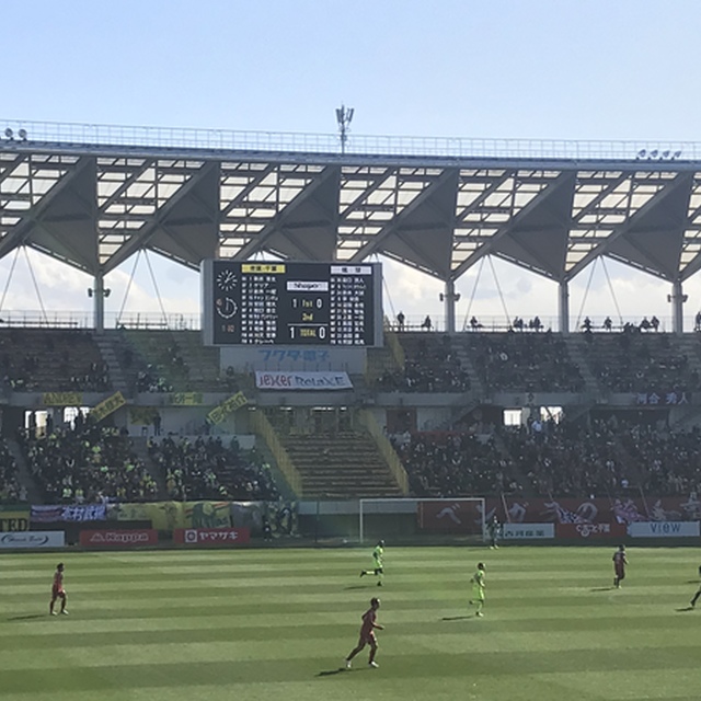 選手との距離が近い!