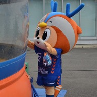 ふあふあヴィヴィくんをチェック