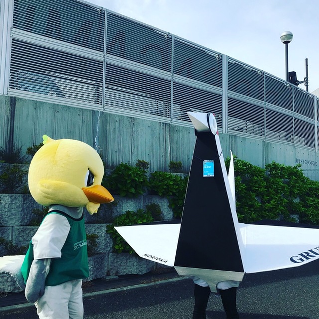 広報担当、ガミティ