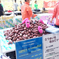行方市産の特産品のさつまいもです。