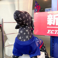 ペットも一緒に!