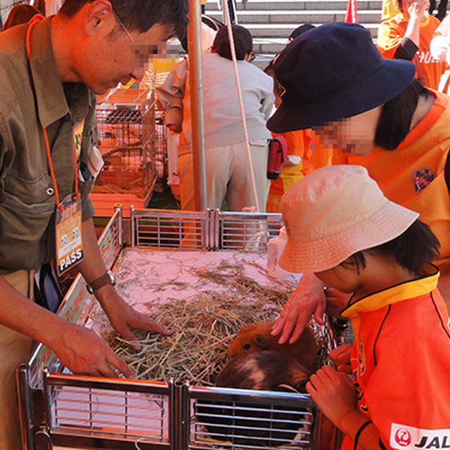 「IZA7どうぶつふれあいパーク」ブース