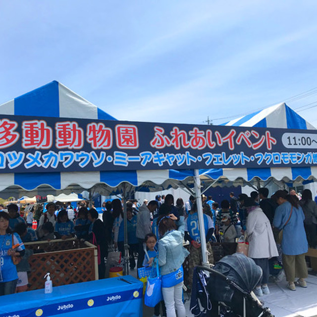 スタジアムに移動動物園が来てれました!①