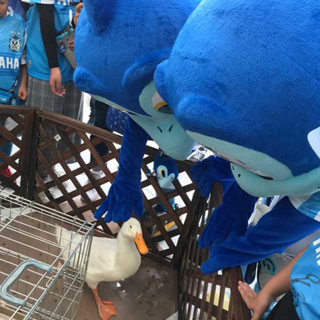スタジアムに移動動物園が来てれました!②