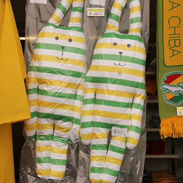 サイズは70cm×110cm